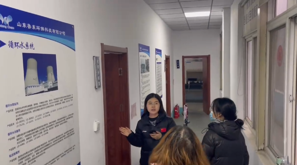 公司專訪直播 公司專訪直播